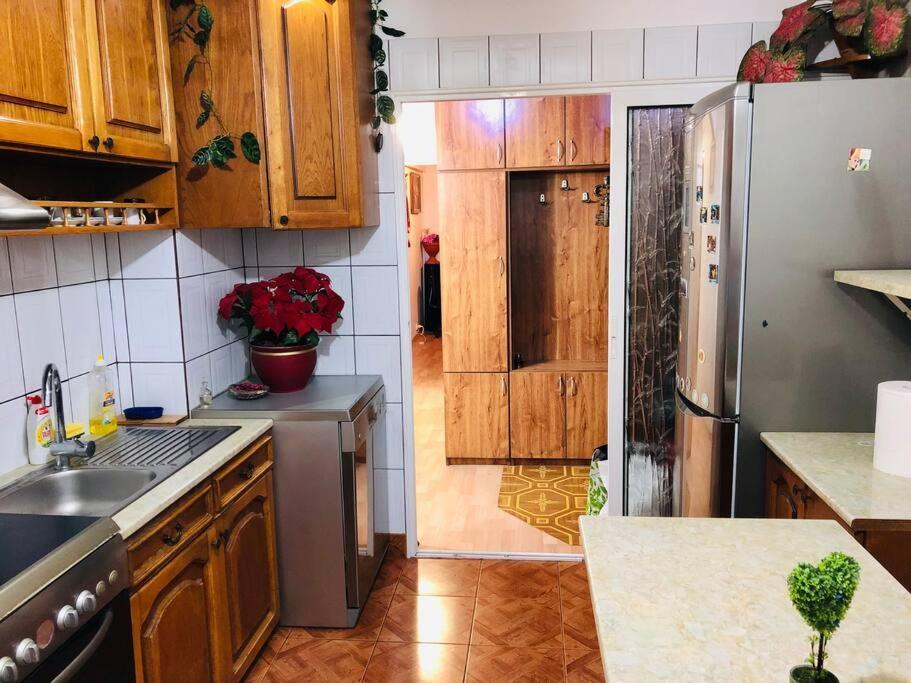 Joy City Stay Ferkel 7 Тимишоара Екстериор снимка