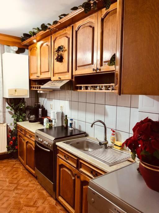 Joy City Stay Ferkel 7 Тимишоара Екстериор снимка
