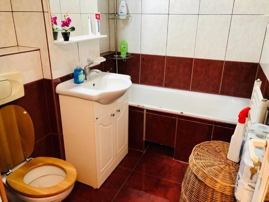 Joy City Stay Ferkel 7 Тимишоара Екстериор снимка